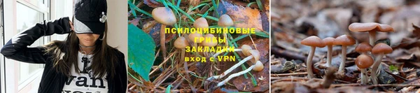 кокаин премиум Беломорск