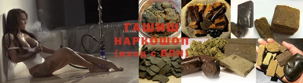 PSILOCYBIN Белокуриха
