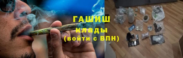 PSILOCYBIN Белокуриха