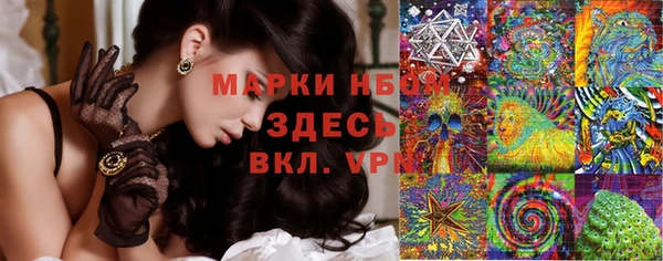 PSILOCYBIN Белокуриха
