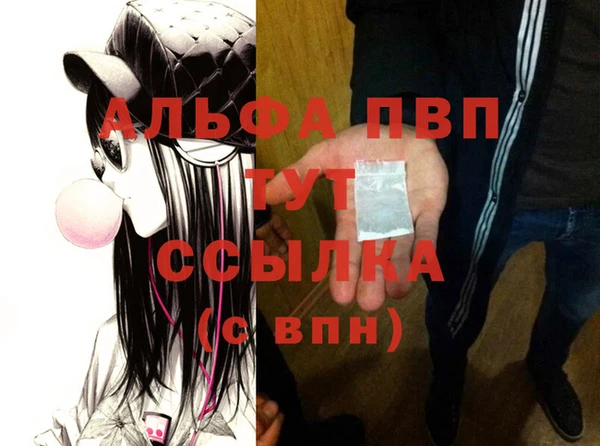 PSILOCYBIN Белокуриха