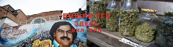 PSILOCYBIN Белокуриха