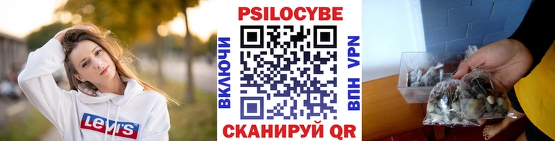 Галлюциногенные грибы мухоморы  hydra зеркало  Севск 